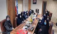 بررسی زیرساختها و چالش های آموزشی  دانشکده پرستاری و مامایی رشت