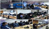 سالمندان، جزو سرمایه های عظیم زندگی