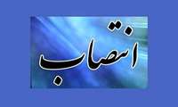 دکتر فرید بصیری مقدم سرپرست مدیریت شبکه بهداشت و درمان آستارا شد