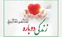 اهداء عضو، اهداء زندگی